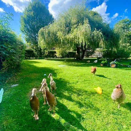 Le Clos De L'Ermitage Saint-Josse エクステリア 写真